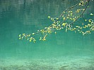 IMG_1066.jpg